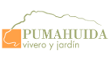Pumahuida
